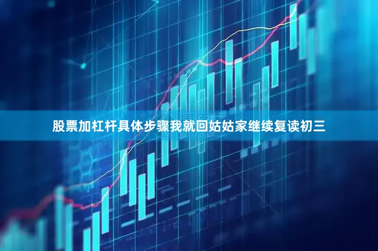 股票加杠杆具体步骤我就回姑姑家继续复读初三